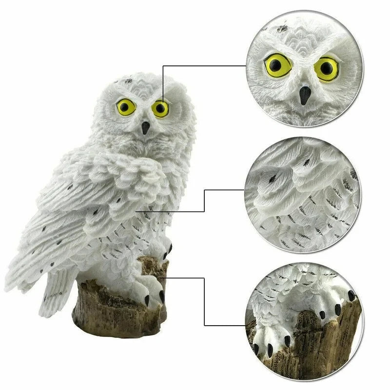 Solar Owl LED Lamp